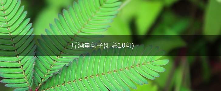 一斤酒量句子(汇总10句),第1张