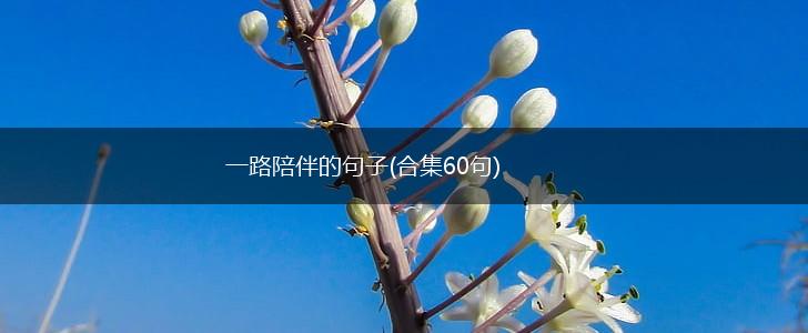 一路陪伴的句子(合集60句),第1张