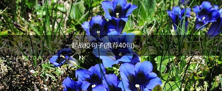 一起战疫句子(推荐40句),第1张