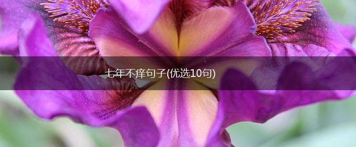 七年不痒句子(优选10句),第1张