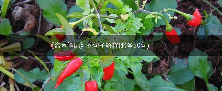 《盗墓笔记》的句子解释(必备50句),第1张