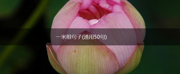 一米组句子(通用50句),第1张