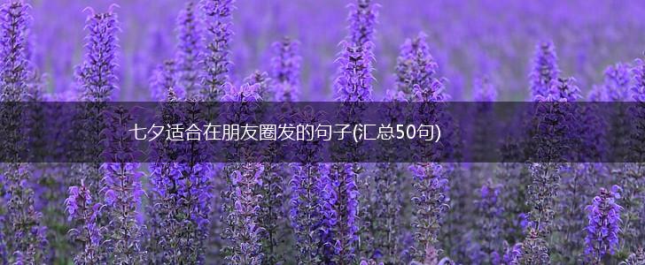 七夕适合在朋友圈发的句子(汇总50句),第1张