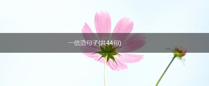 一倍造句子(共44句),第1张