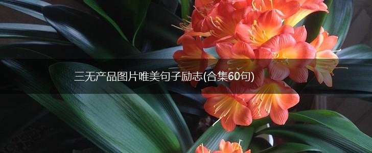三无产品图片唯美句子励志(合集60句),第1张