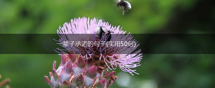 一辈子承诺的句子(实用50句),第1张