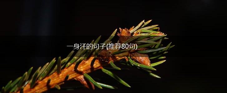 一身汗的句子(推荐80句),第1张