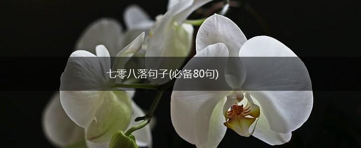 七零八落句子(必备80句),第1张