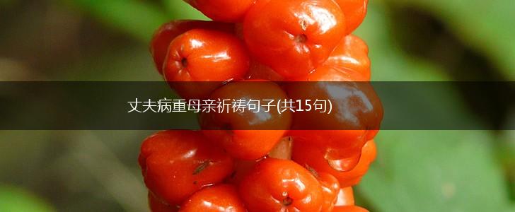 丈夫病重母亲祈祷句子(共15句),第1张