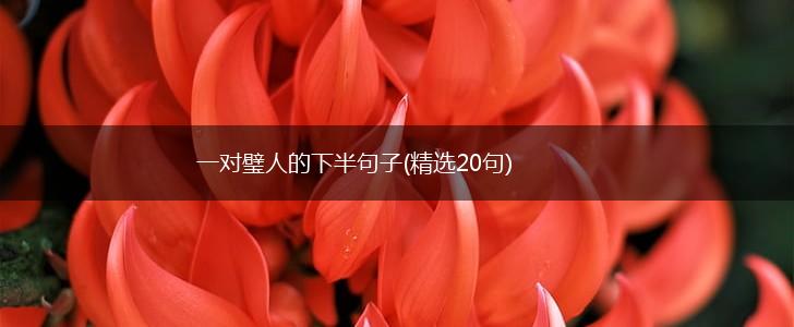 一对璧人的下半句子(精选20句),第1张