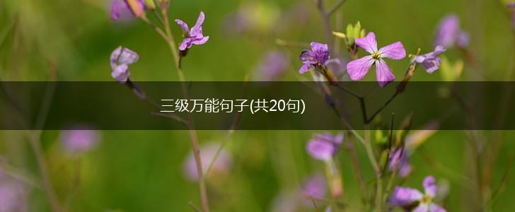 三级万能句子(共20句),第1张