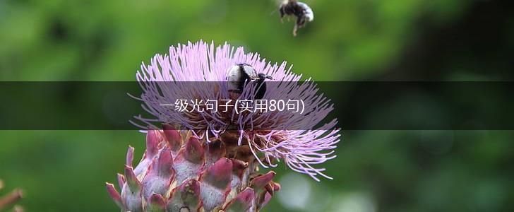 一级光句子(实用80句),第1张
