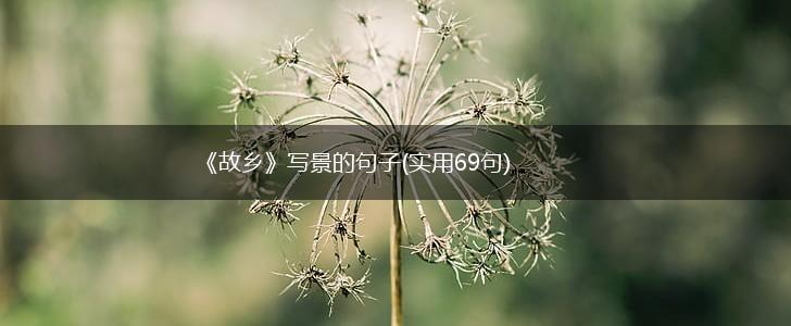 《故乡》写景的句子(实用69句),第1张