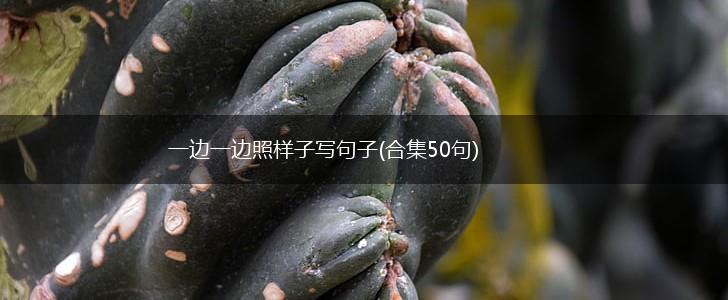 一边一边照样子写句子(合集50句),第1张