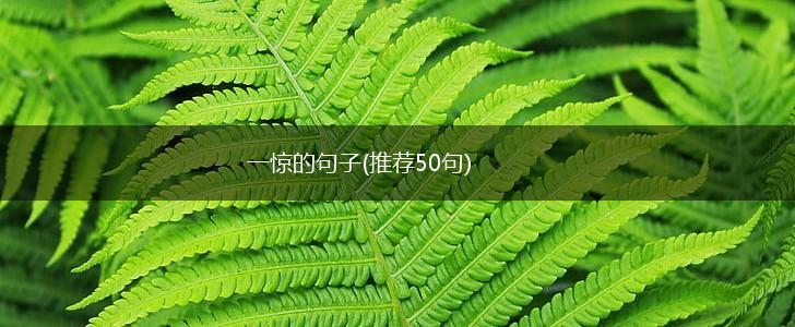 一惊的句子(推荐50句),第1张