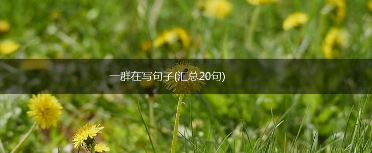 一群在写句子(汇总20句),第1张