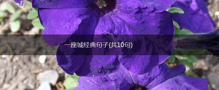 一座城经典句子(共10句),第1张