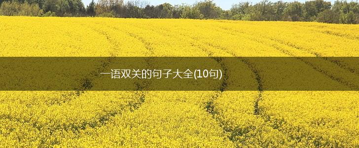 一语双关的句子大全(10句),第1张