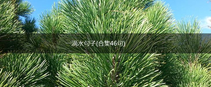 一滴水句子(合集46句),第1张