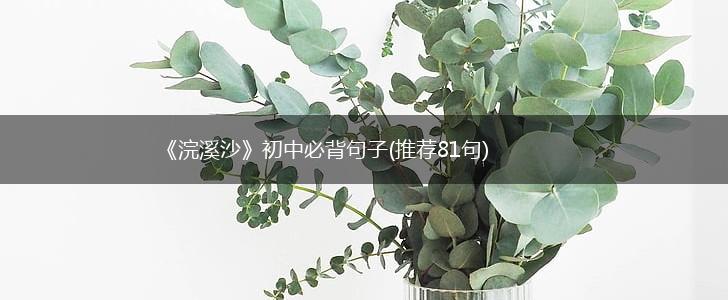 《浣溪沙》初中必背句子(推荐81句),第1张