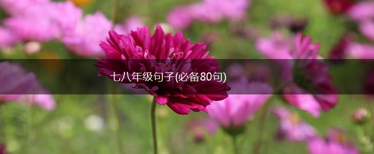 七八年级句子(必备80句),第1张