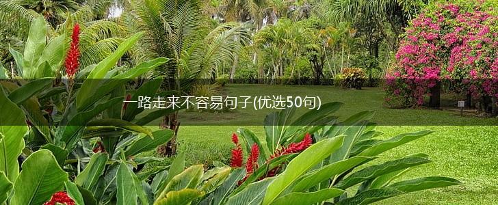 一路走来不容易句子(优选50句),第1张