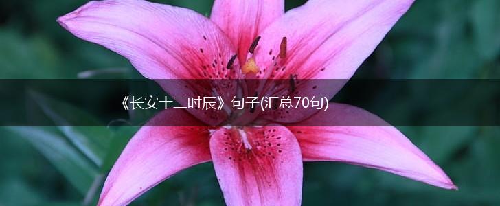 《长安十二时辰》句子(汇总70句),第1张