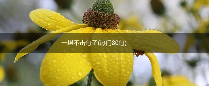 一堪不击句子(热门80句),第1张