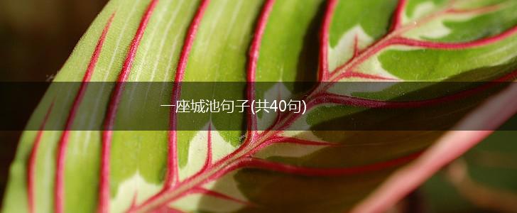 一座城池句子(共40句),第1张