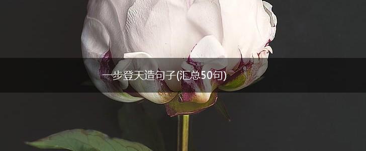 一步登天造句子(汇总50句),第1张