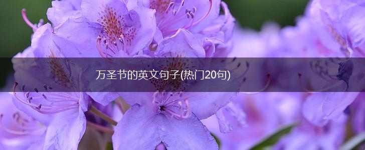 万圣节的英文句子(热门20句),第1张