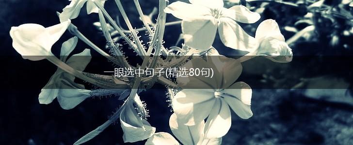 一眼选中句子(精选80句),第1张
