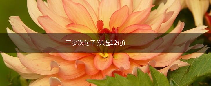 三多次句子(优选12句),第1张