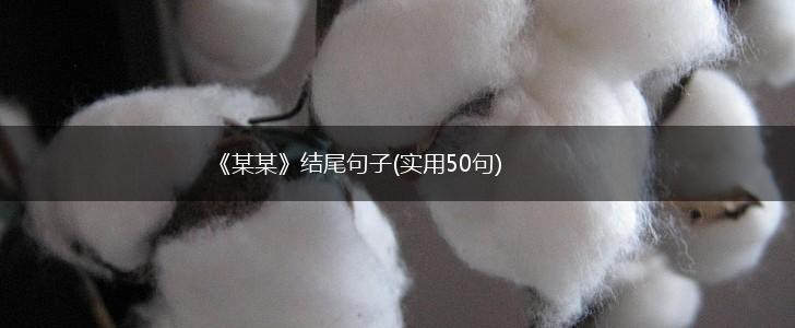 《某某》结尾句子(实用50句),第1张