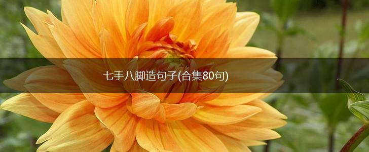 七手八脚造句子(合集80句),第1张