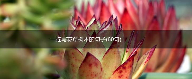一描写花草树木的句子(60句),第1张