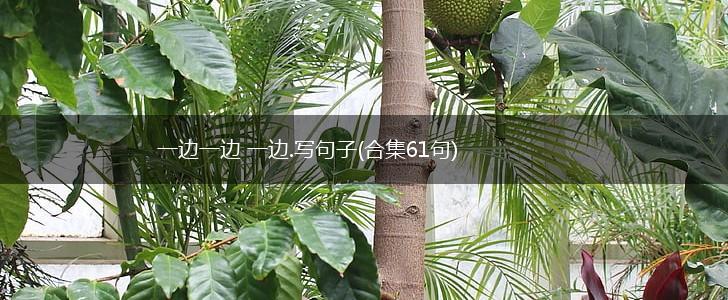 一边一边 一边.写句子(合集61句),第1张
