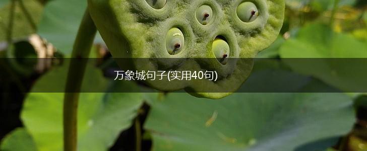 万象城句子(实用40句),第1张