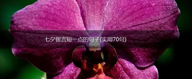 七夕留言短一点的句子(实用70句),第1张