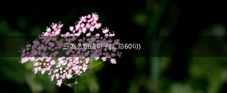 三怎么组成句子(汇总60句),第1张