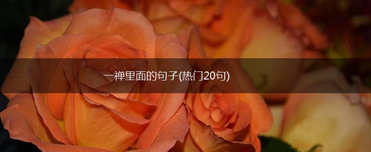 一禅里面的句子(热门20句),第1张