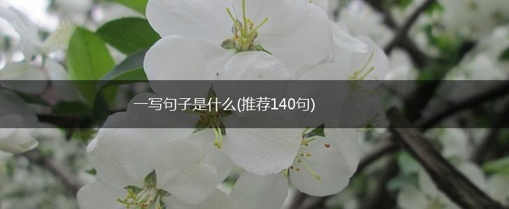 一写句子是什么(推荐140句),第1张