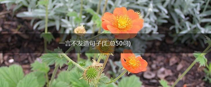 一言不发造句子(汇总50句),第1张
