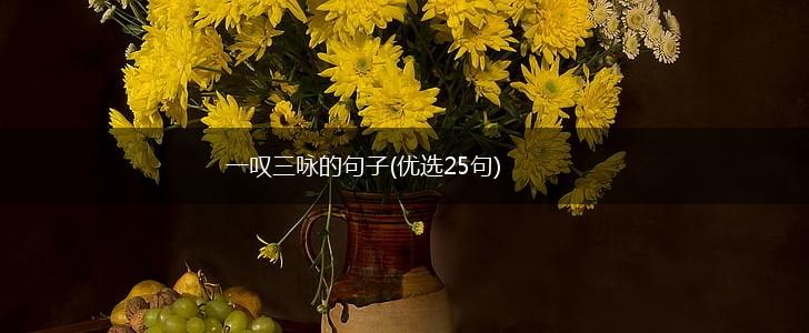 一叹三咏的句子(优选25句),第1张