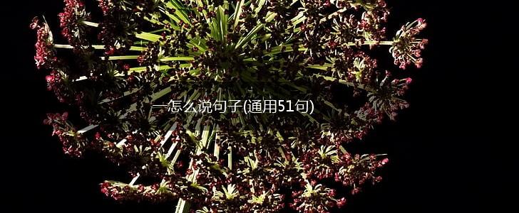 一怎么说句子(通用51句),第1张