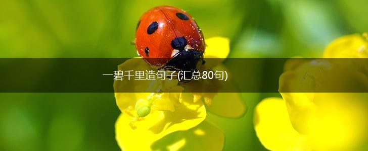 一碧千里造句子(汇总80句),第1张