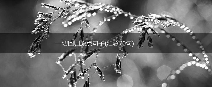 一切回归原点句子(汇总70句),第1张