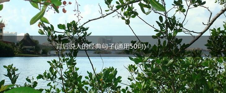 背后说人的经典句子(通用50句),第1张