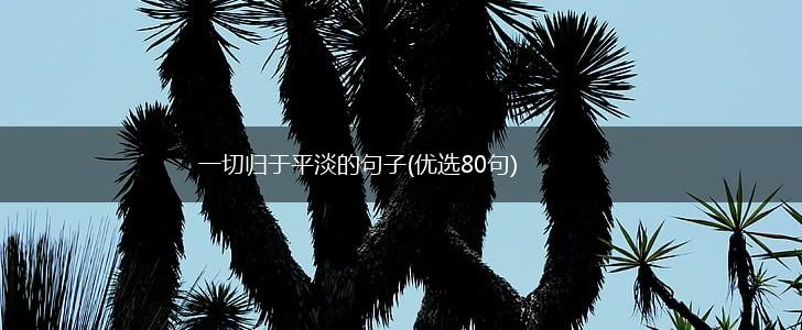 一切归于平淡的句子(优选80句),第1张