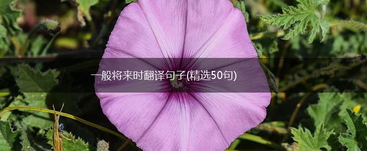 一般将来时翻译句子(精选50句),第1张